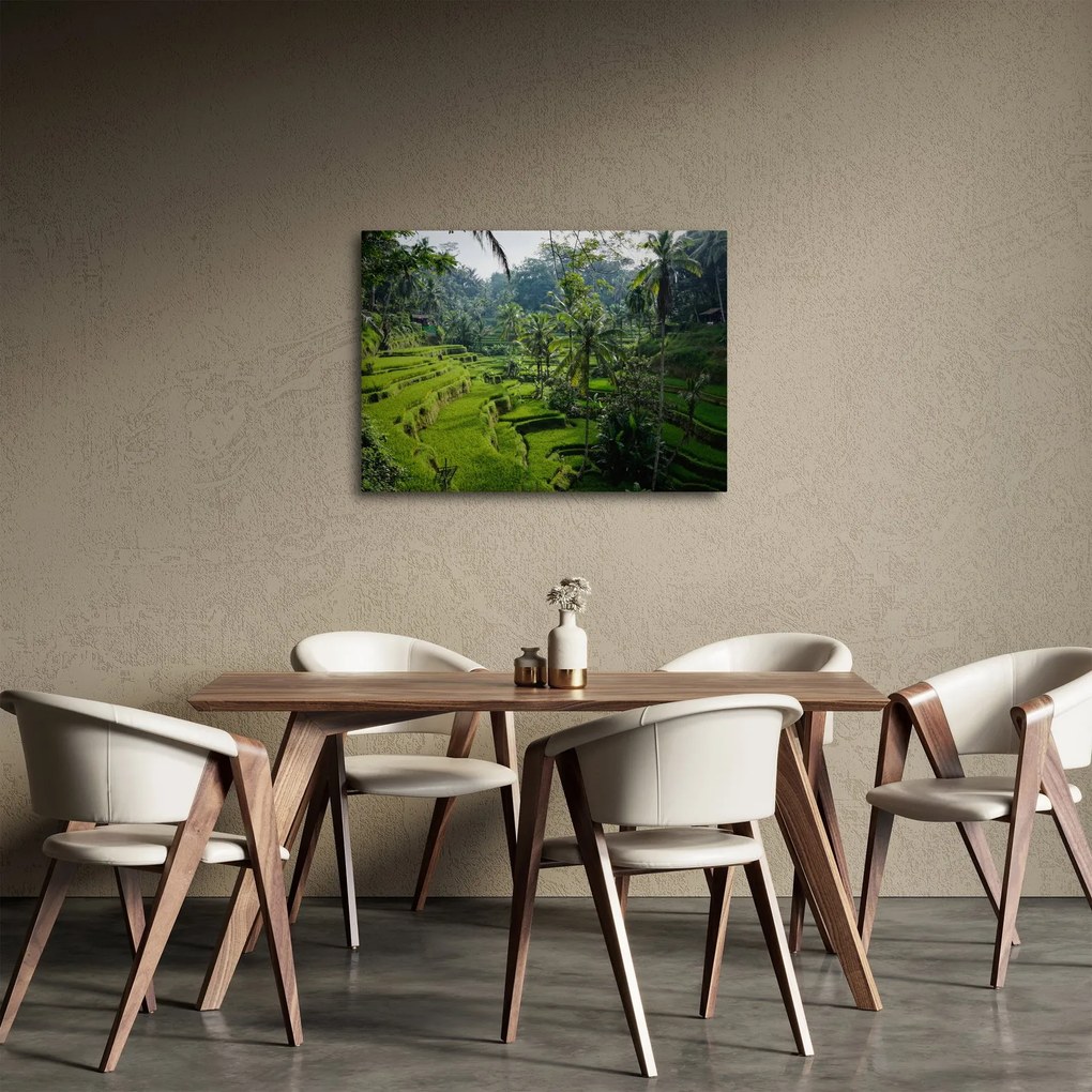Tablou cu terasele cu orez Tegalalang, Bali (70x50 cm)