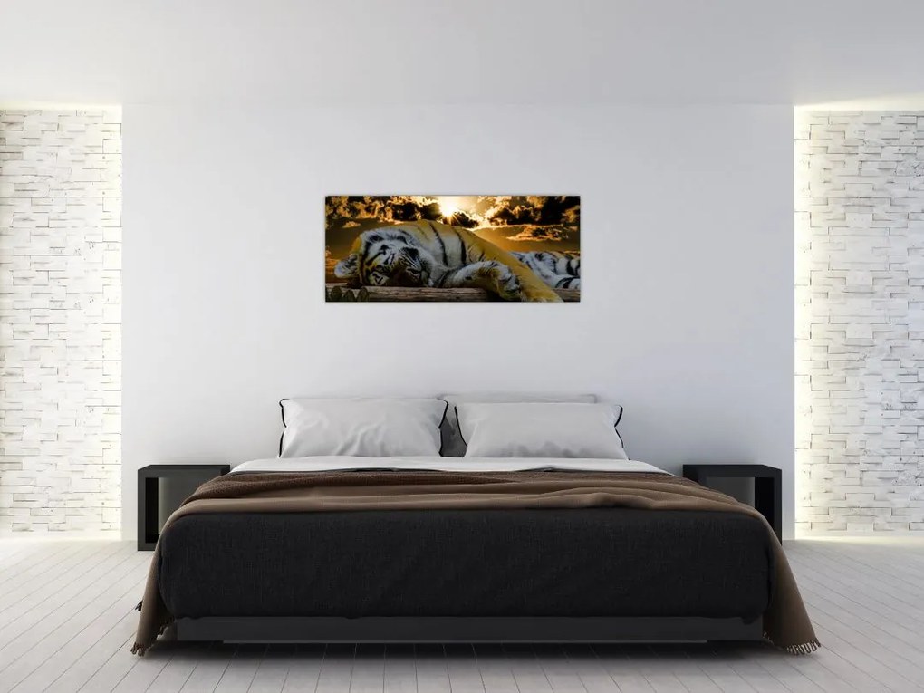 Tablou tigrul dormind (120x50 cm)