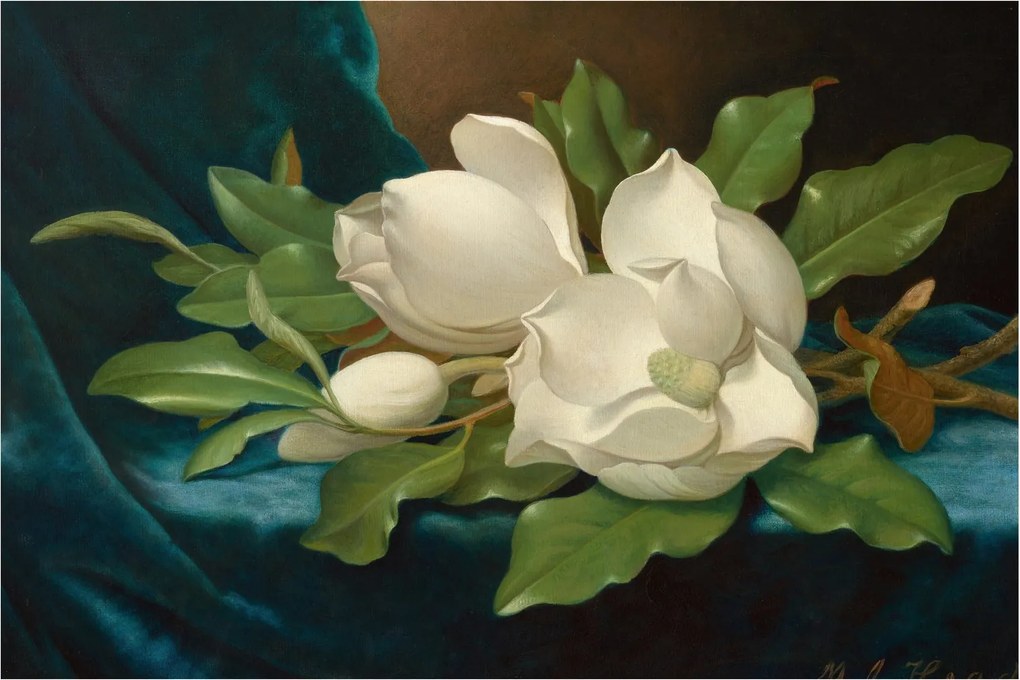 Tablou - Martin Johnson Heade, Giant Magnolias on a Blue Velvet Cloth, reproducere (90x60 cm)