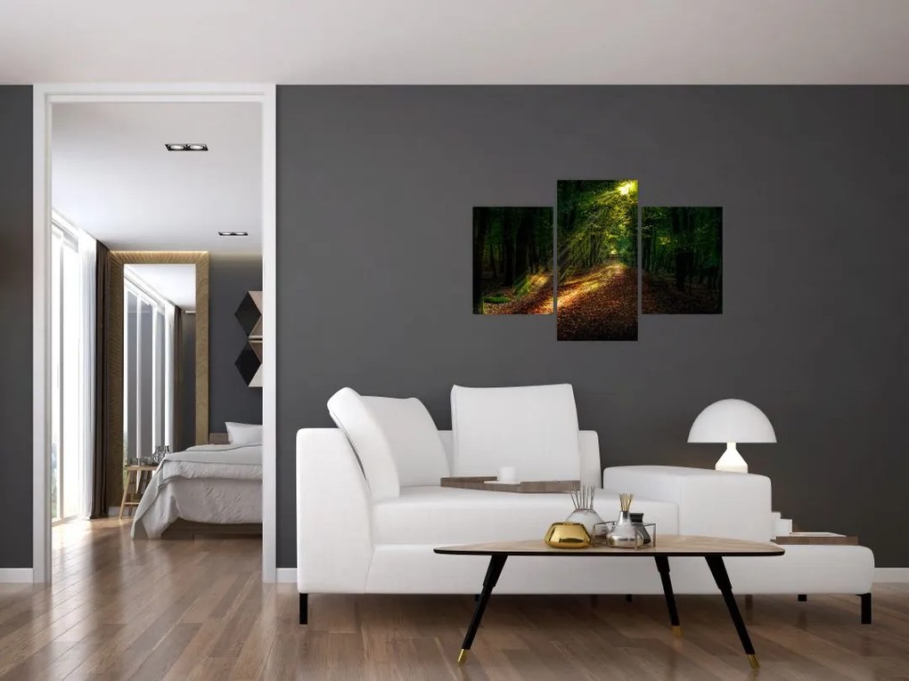Tablou cu poteca prin pădure (90x60 cm)