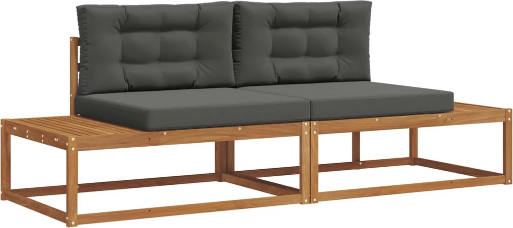 vidaXL Set de canapele de exterior 2 Bucată Natural și Antracit