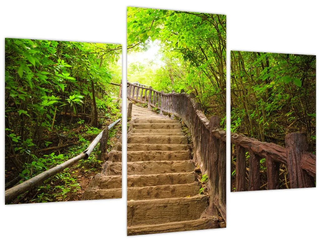 Tablou - Scări în natură (90x60 cm)