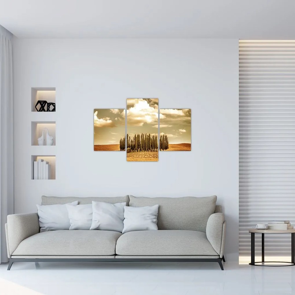 Tablou cu luncă (90x60 cm)