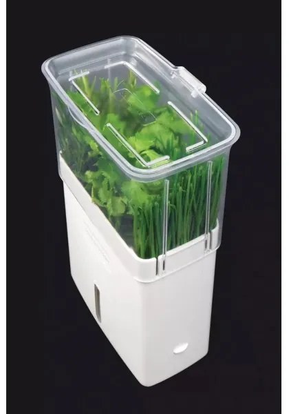 Recipient pentru ierburi proaspăt tăiate Cole&Mason