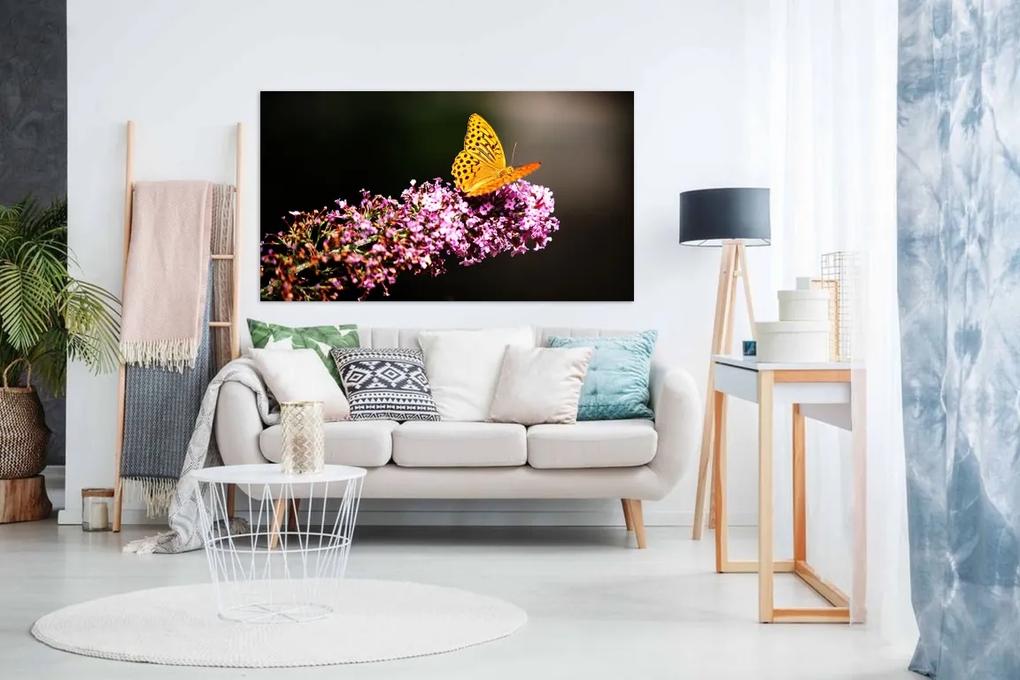 Tablou canvas fluture - 60x40cm
