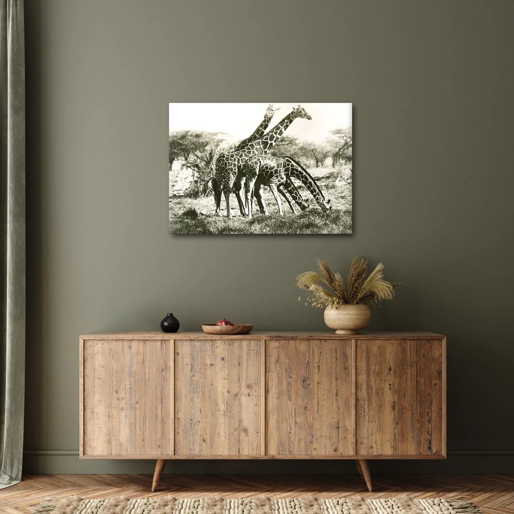 Tablou - Girafe, de epocă (70x50 cm)
