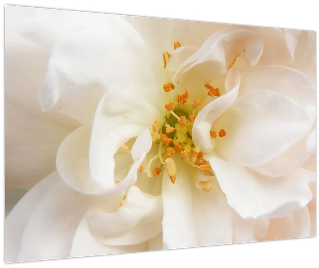 Tablou - Floare (90x60 cm)