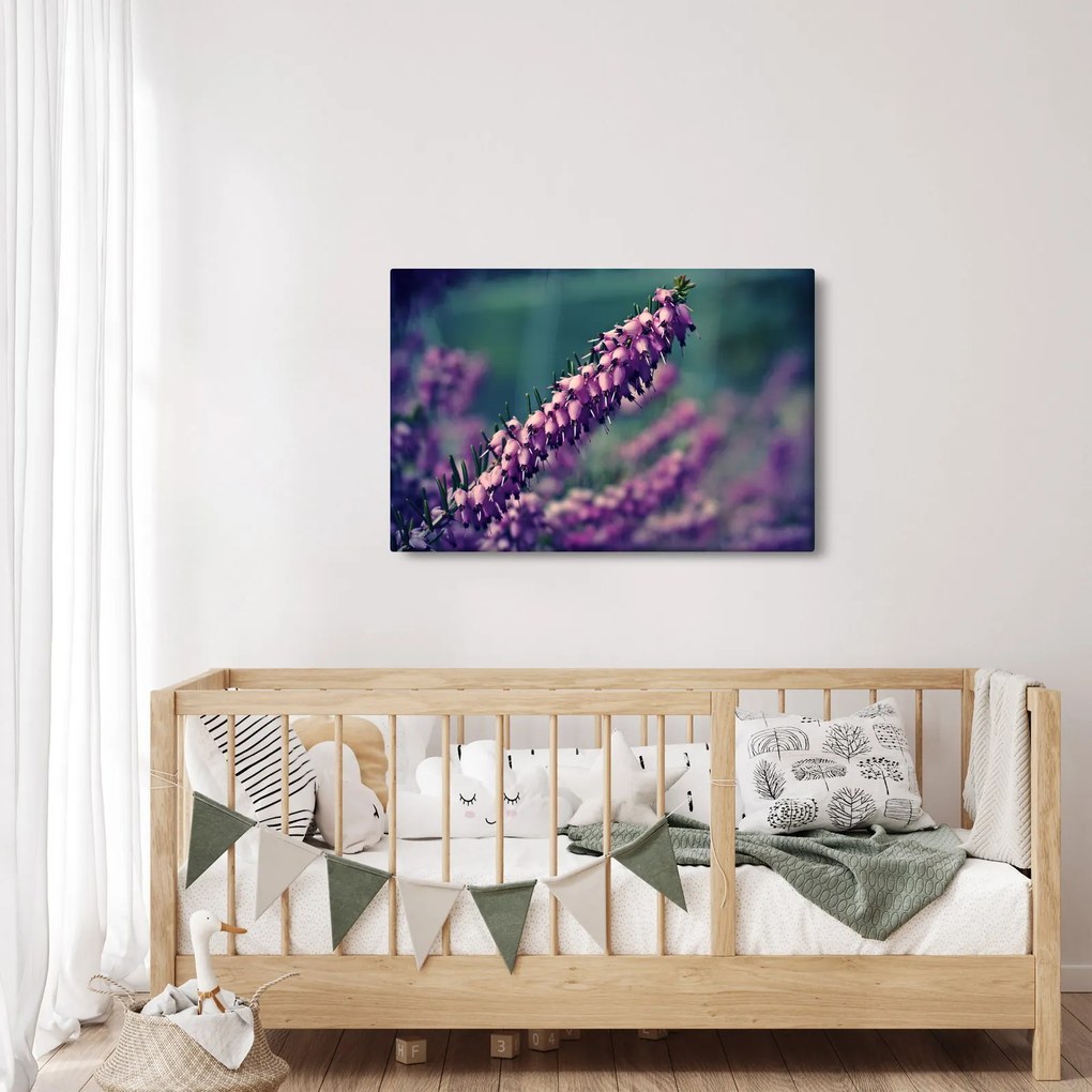 Tablou cu lavanda (90x60 cm)