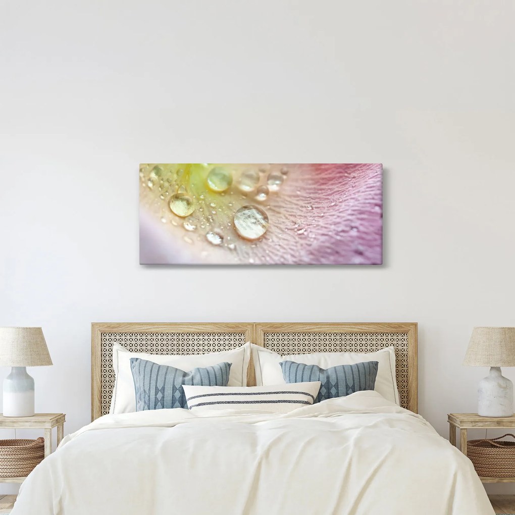 Tablou - Picături de rouă (120x50 cm)