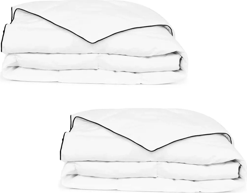 vidaXL Pilotă de iarnă din puf, 2 buc., 150 x 200 cm