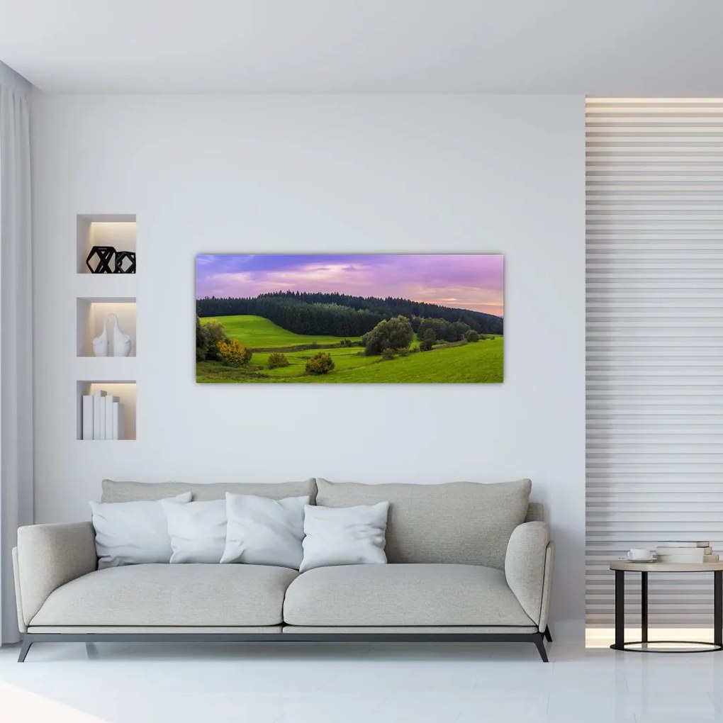 Tablou cu lunca (120x50 cm)