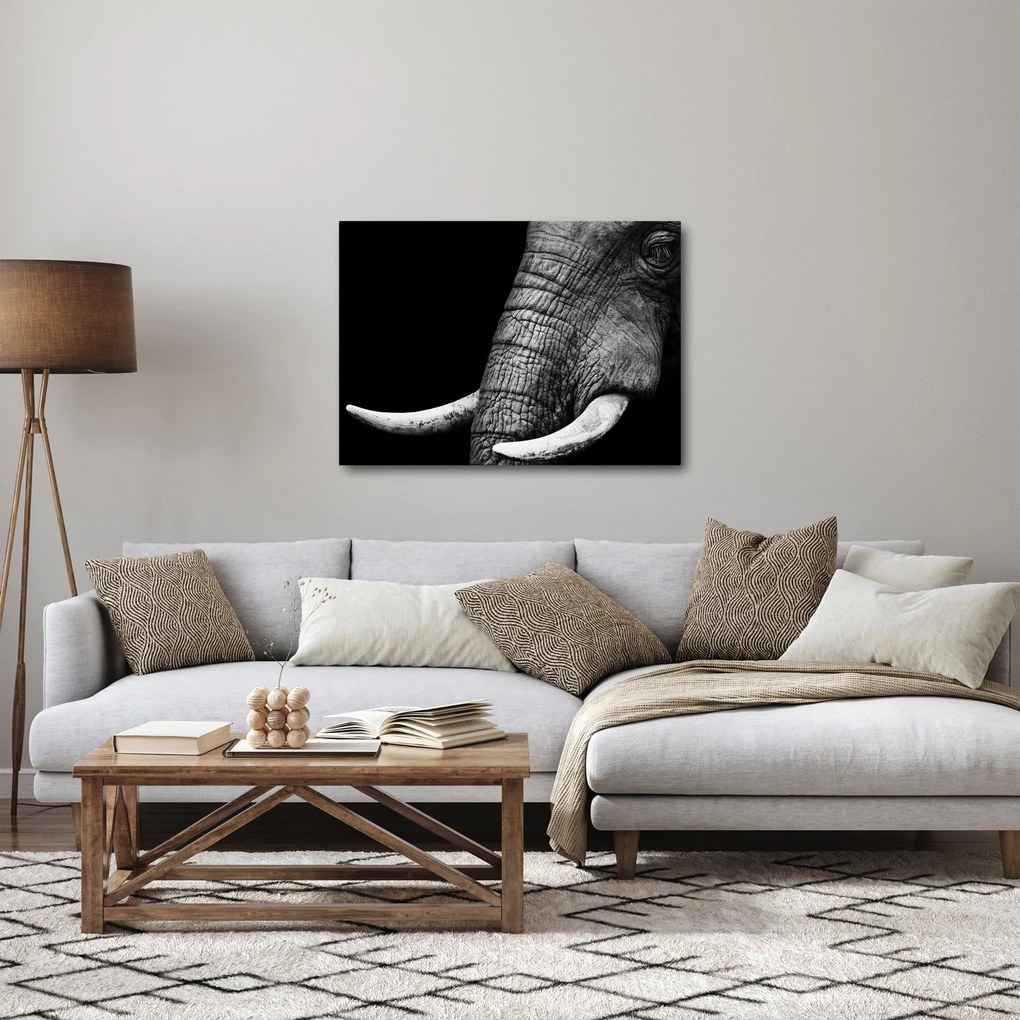 Tablou - Colți de elefant (70x50 cm)