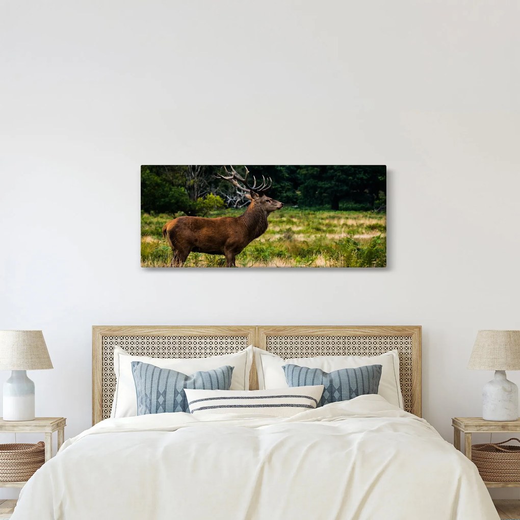 Tablou cu cerb (120x50 cm)