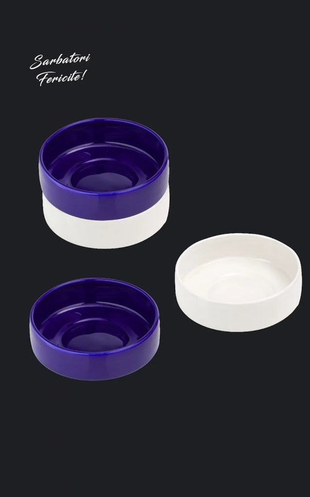 Set Cadou 4 Boluri Japan (2 Boluri Alb Casablanca 400ml + 2 Boluri Arhitect Cobalt 400ml)