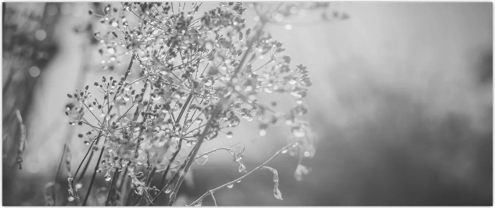 Tablou - Pajiște după ploaie (120x50 cm)