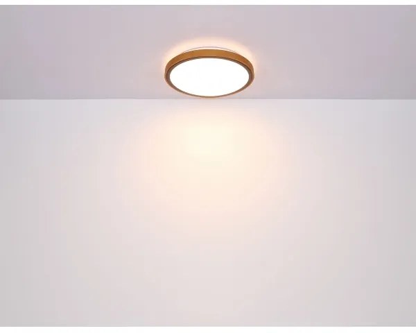 Plafonieră LED SAMMI LED/12W/230V 3000/4500/6000K Globo 41766-12
