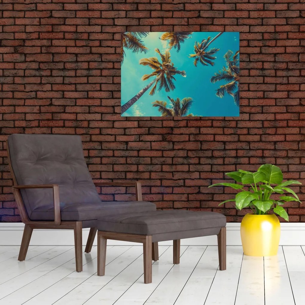 Tablou - Palmieri înalți (70x50 cm)
