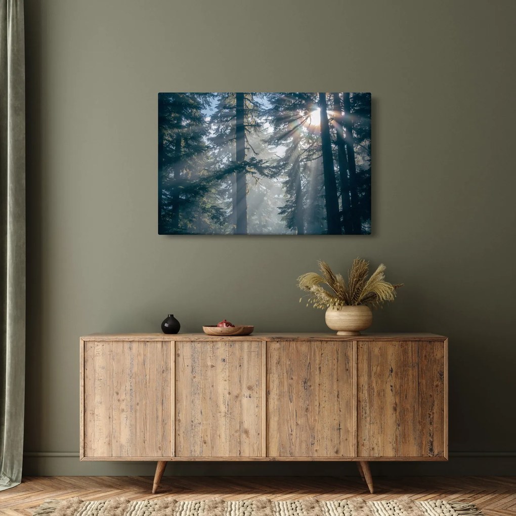 Tablou cu copaci și soarele translucind (90x60 cm)