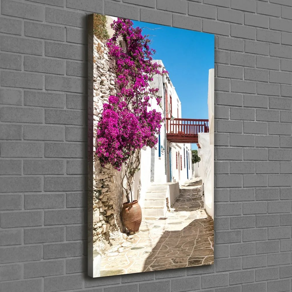 Print pe canvas Străzile grecești