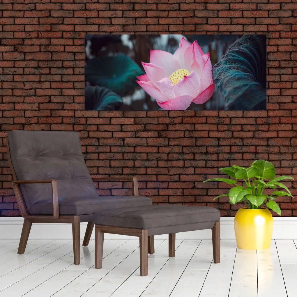 Tablou cu floare roz (120x50 cm)