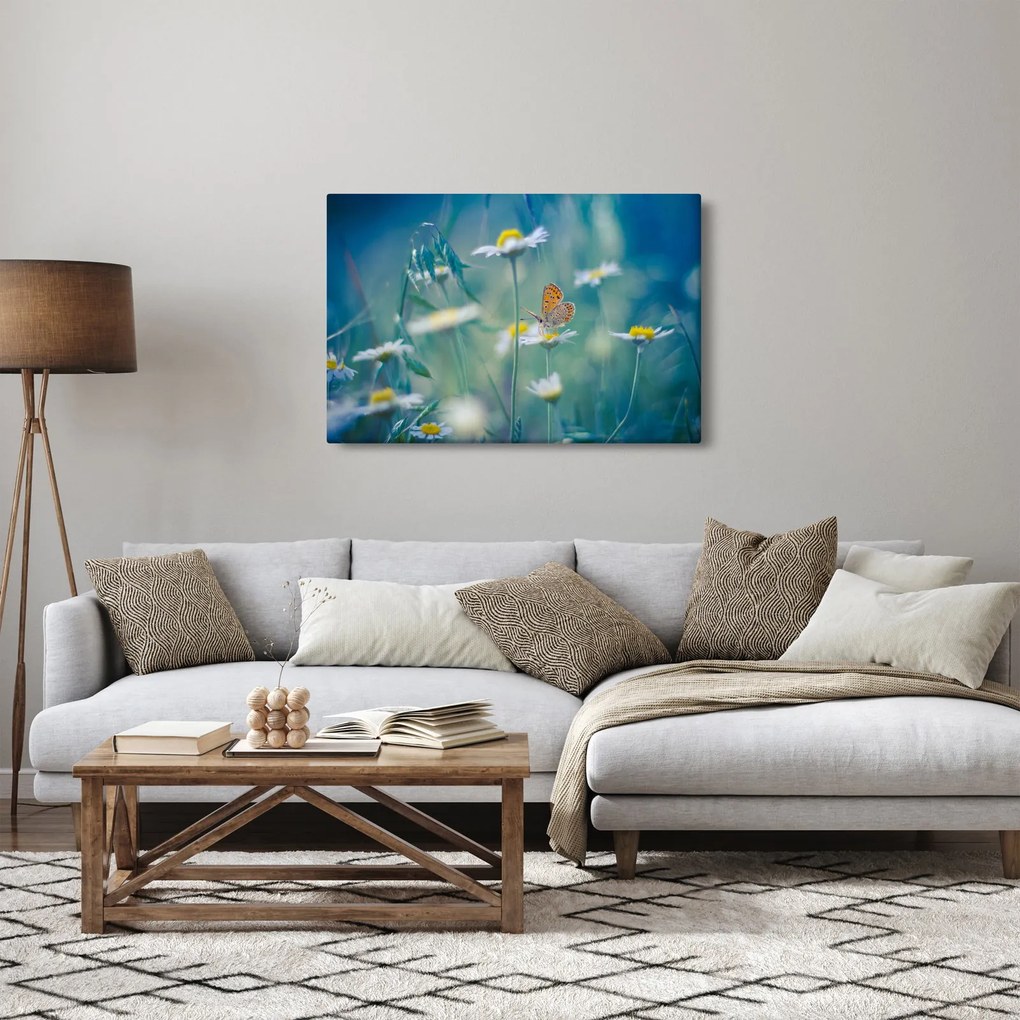 Tablou - Fluture pe margaretă (90x60 cm)