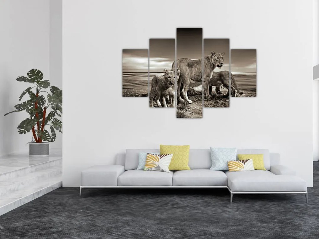 Tablou cu leii alb negri (150x105 cm)