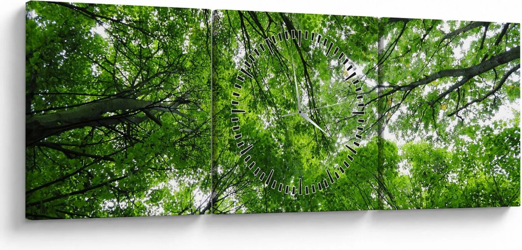 Tablou - privire în coroanele pomilor (cu ceas) (90x30 cm)