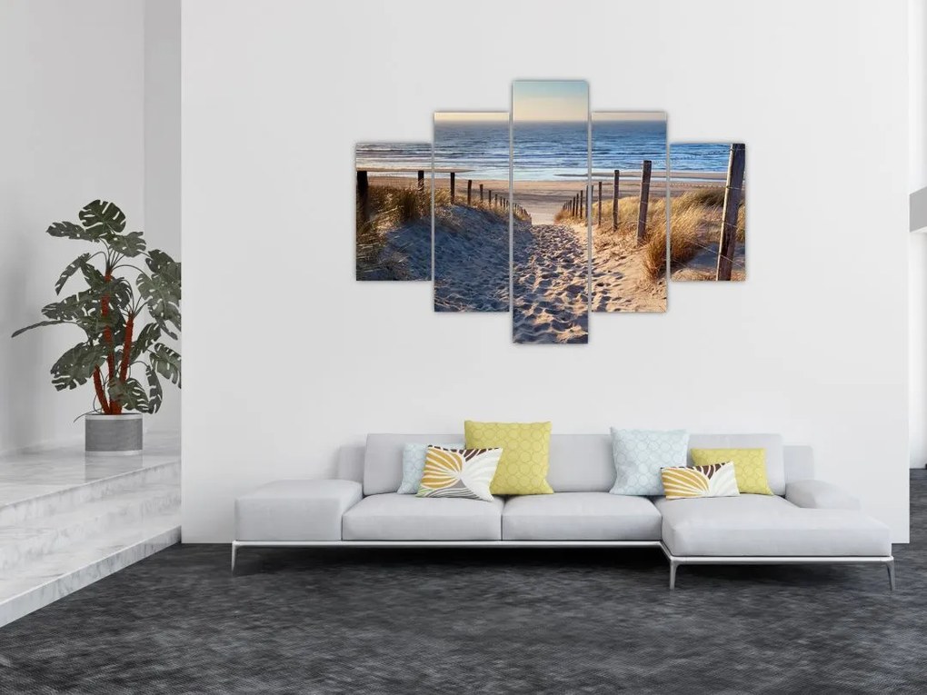 Tablou - Drum spre plaja din Marea Nordului, Țările de Jos (150x105 cm)