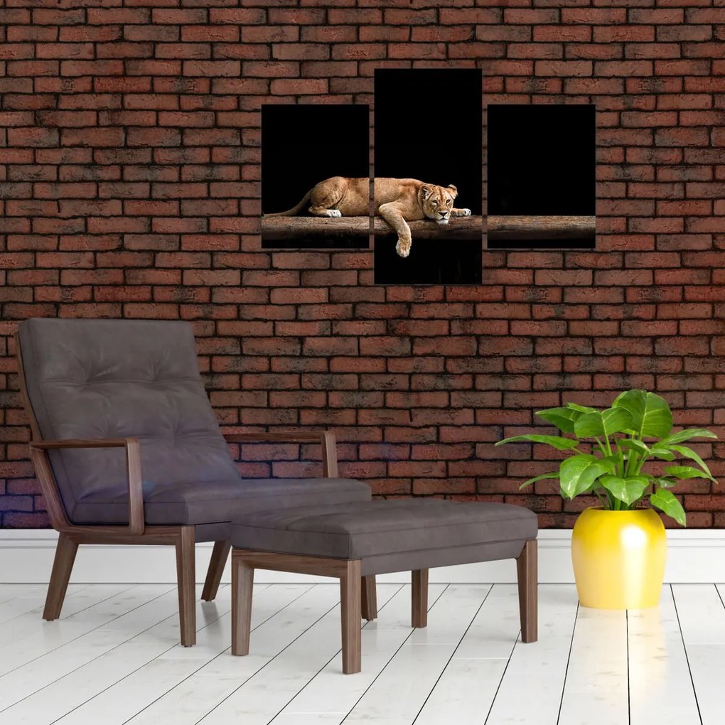 Tablou - Lioness (90x60 cm)