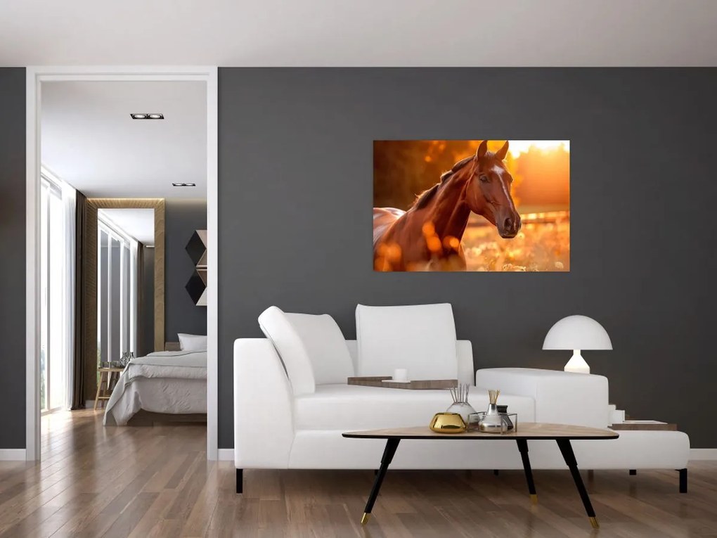 Tablou - Cal în apus de soare (90x60 cm)