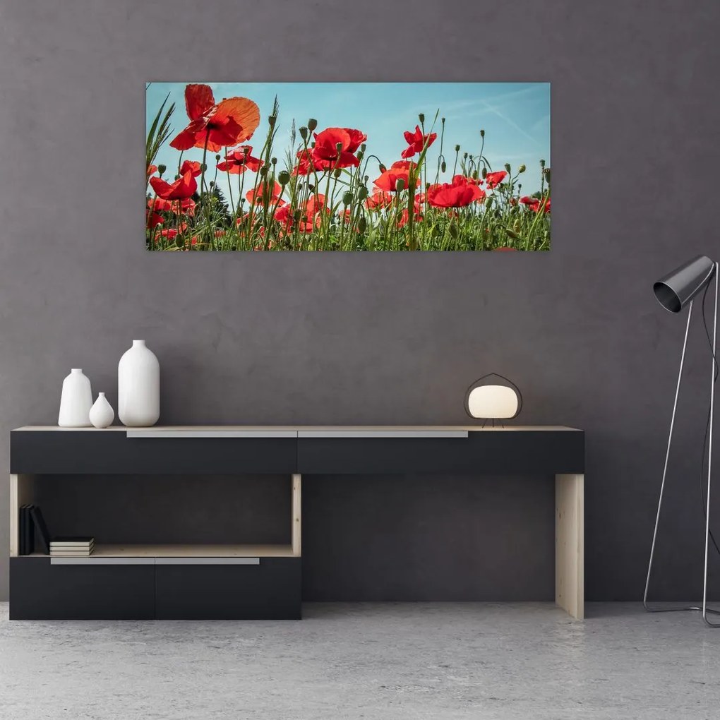 Tablou - Pe câmpul cu maci (120x50 cm)