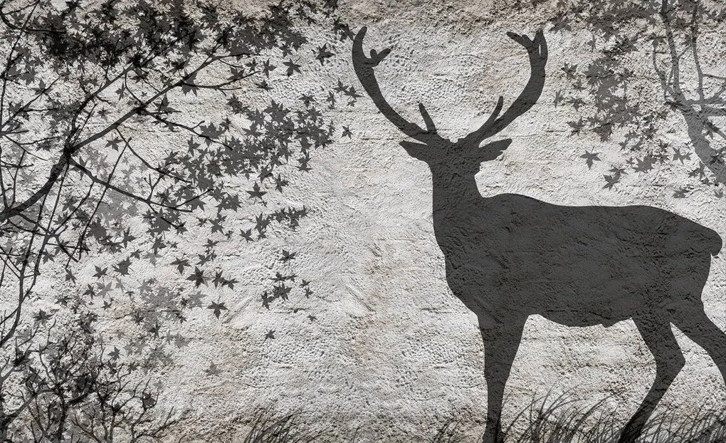 Fototapet - Umbra cerbului pe perete gri (254x184 cm)