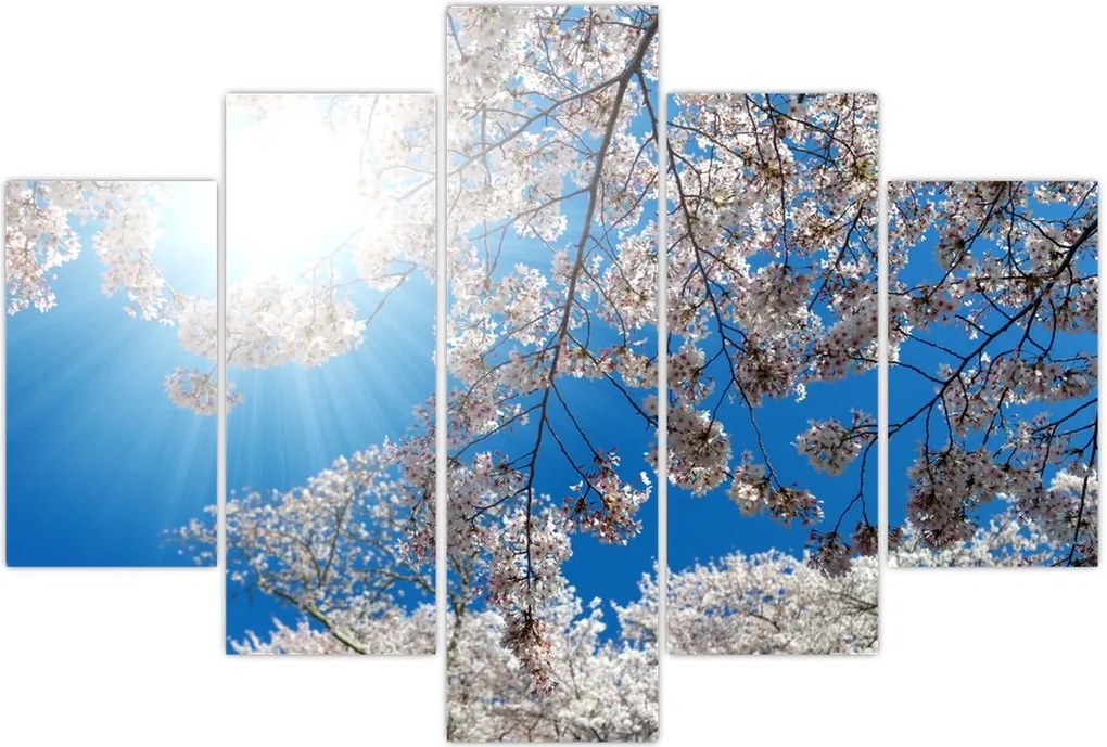 Tablou - Flori de cireș (150x105 cm)