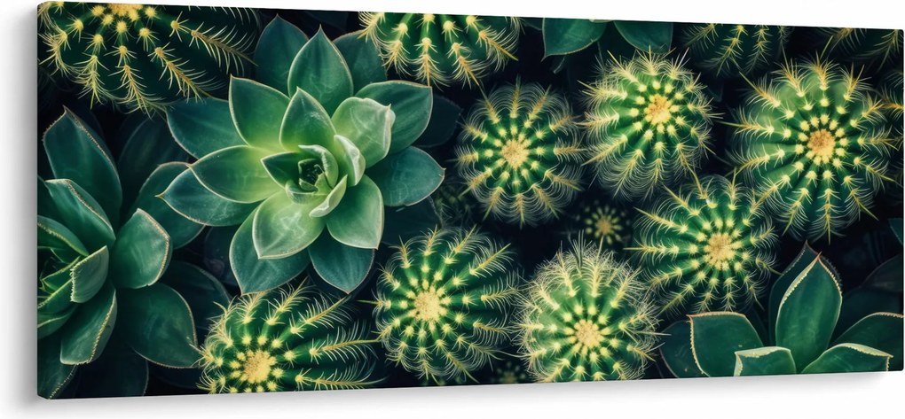 Tablou - Cactuși (120x50 cm)