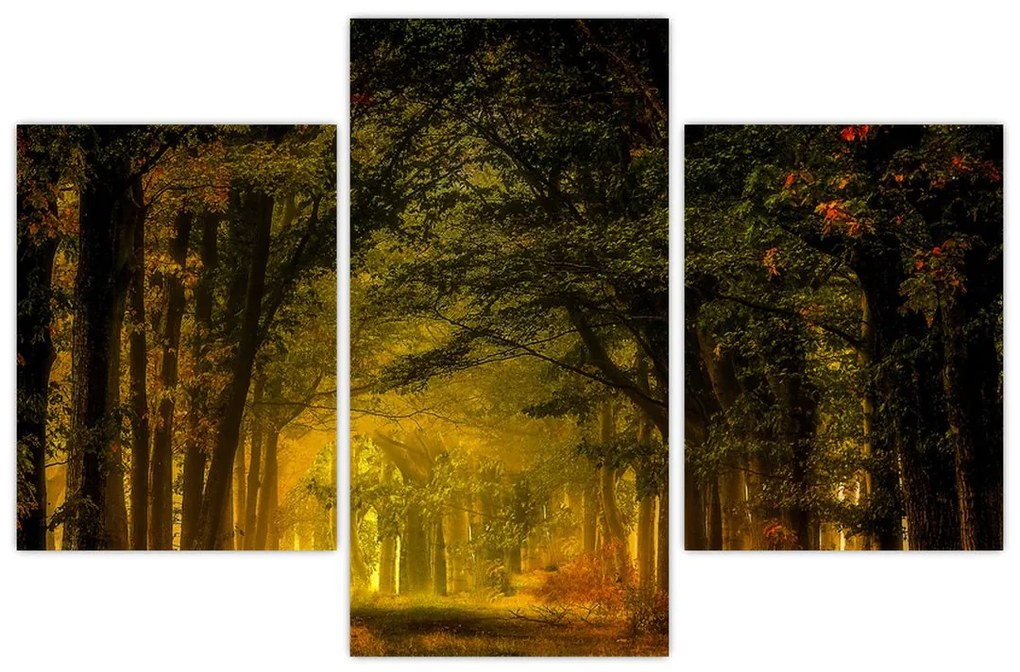 Tablou cu pădure (90x60 cm)
