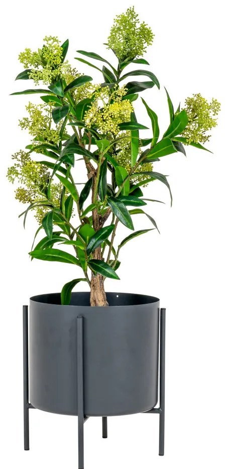 Skimmia fa műnövény, zöld 75 cm
