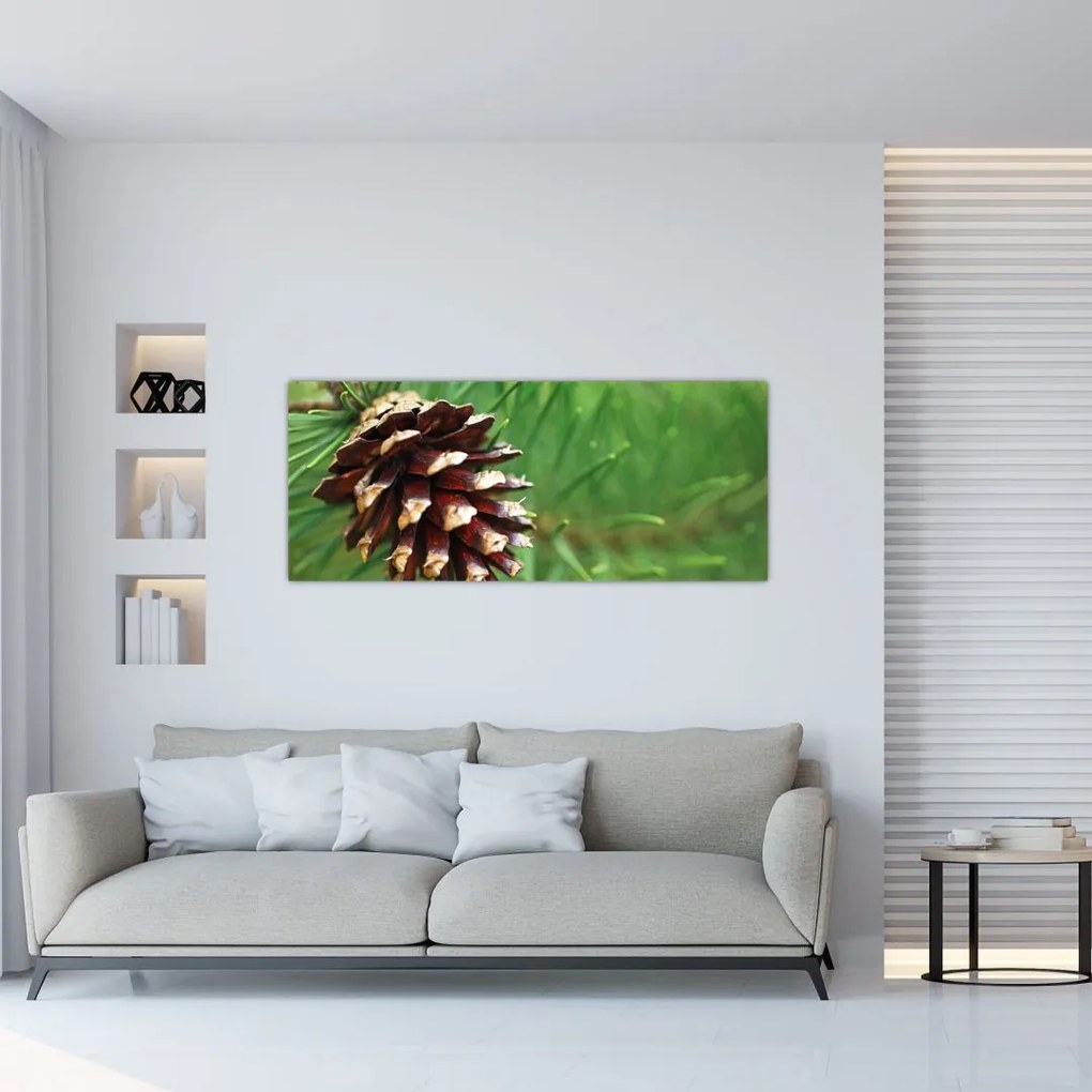 Tablou cu con (120x50 cm)