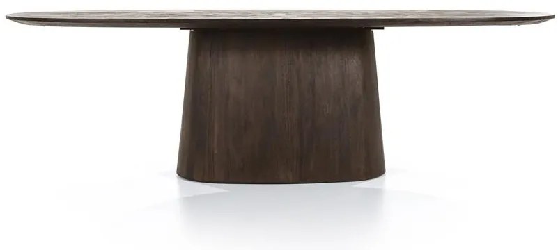 Masa ovala din lemn de mango Aron 250x110 cm maro