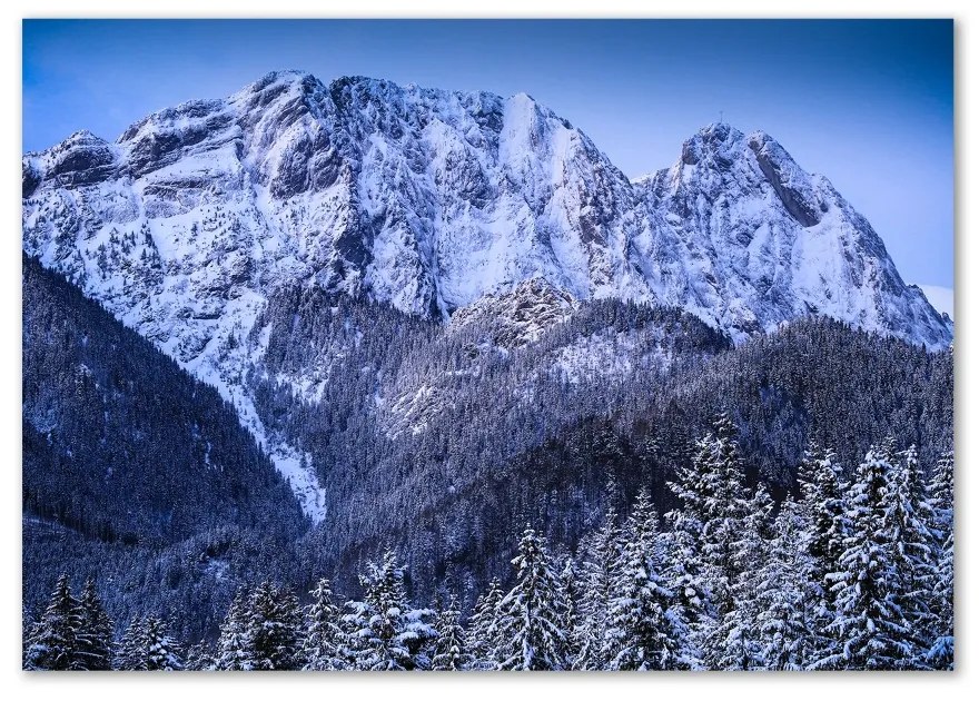 Tablou Printat Pe Sticlă Tatra Munții Giewont
