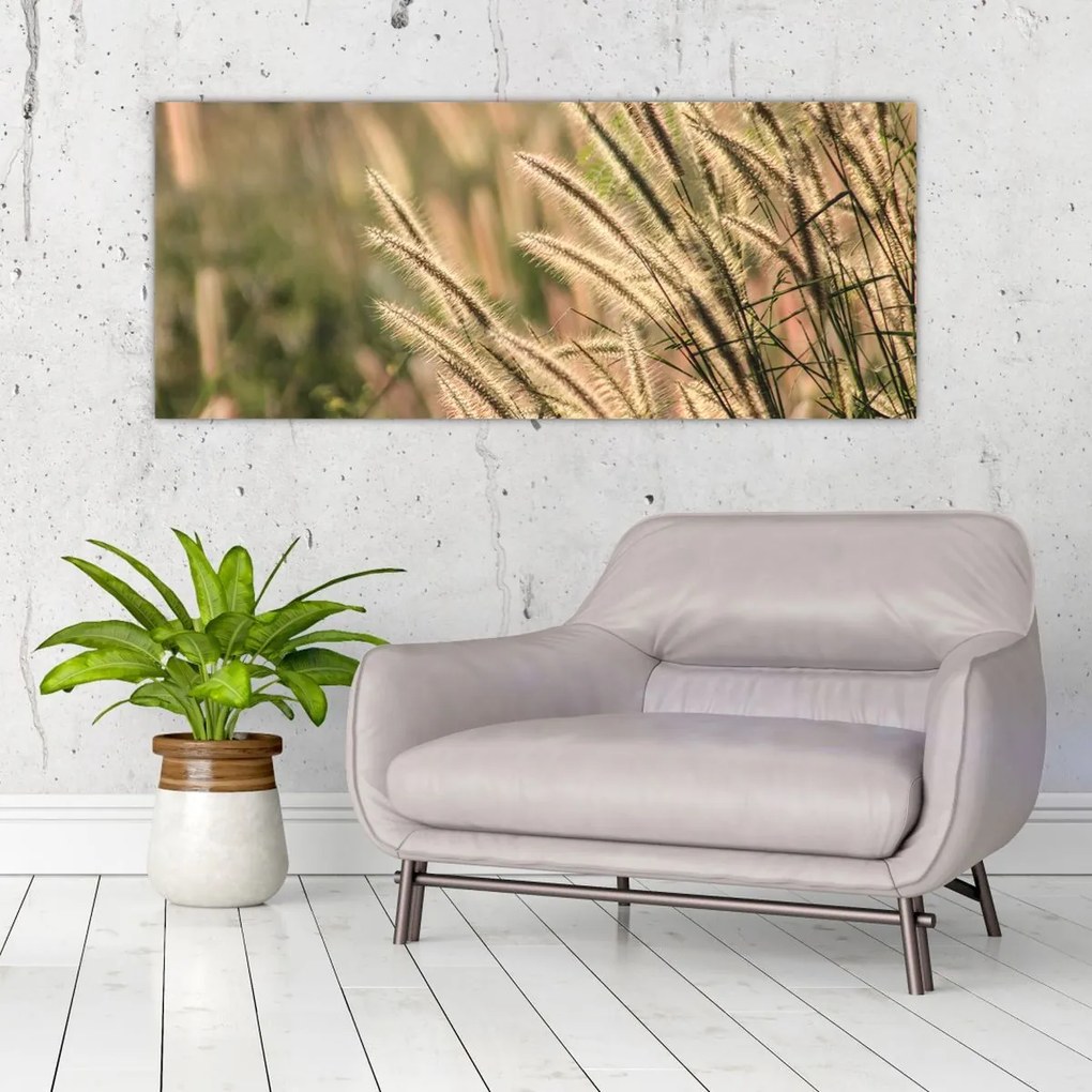 Tablou - Cereale (120x50 cm)