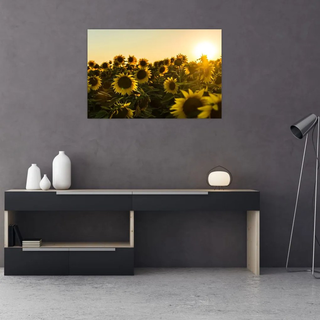Tablou cu lan de floarea soarelui (90x60 cm)