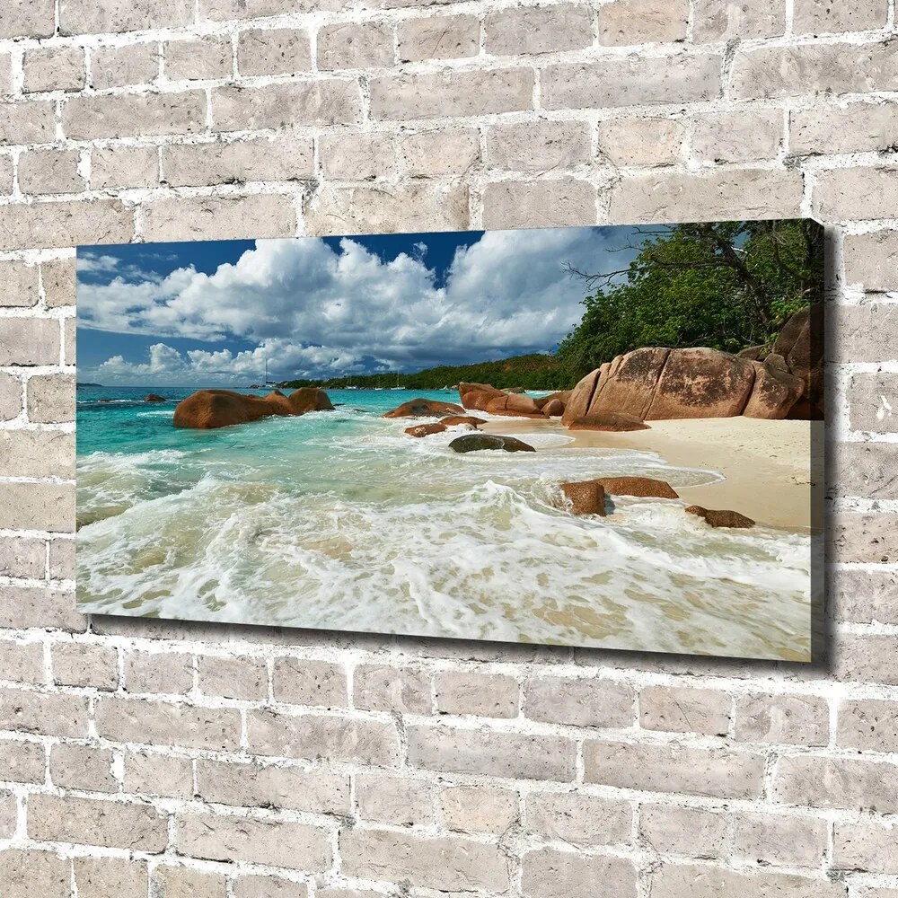 Pictură pe pânză Plaja seychelles