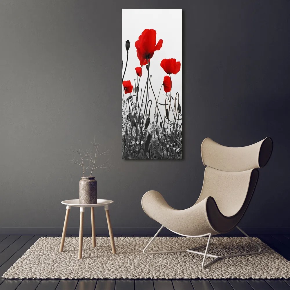 Print pe canvas Wildflowers maci