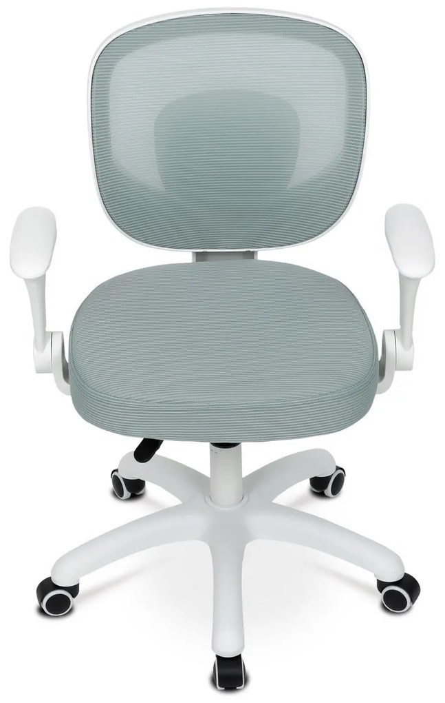 Scaun de birou Autronic KA-K1062 GRN, verde