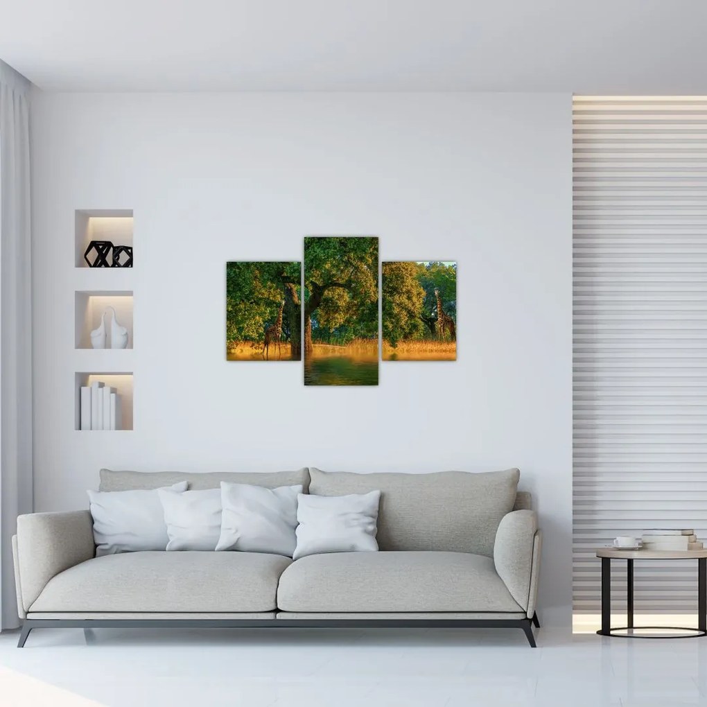 Tablou cu girafe în natură (90x60 cm)