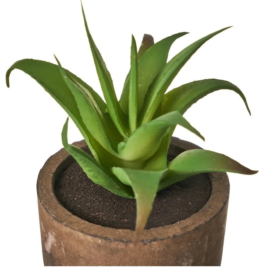 Plante artificiale 4 buc. (înălțime 10 cm) Cactus – Casa Selección