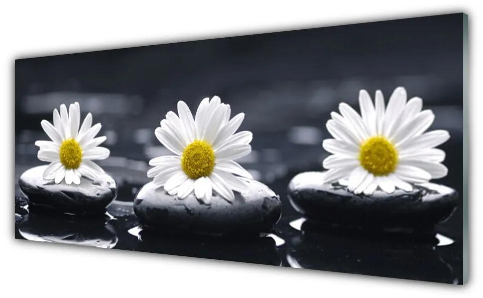 Tablouri acrilice Daisy pietre Floral Galben Alb Negru