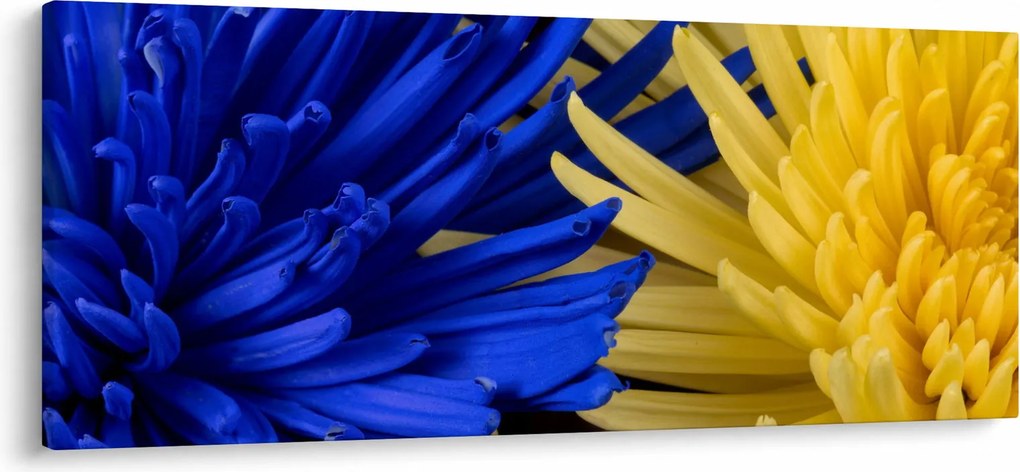 Tablou - detaliu florilor (120x50 cm)