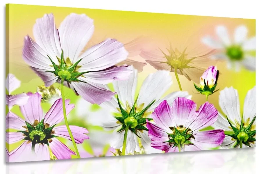 Tablou flori de vară