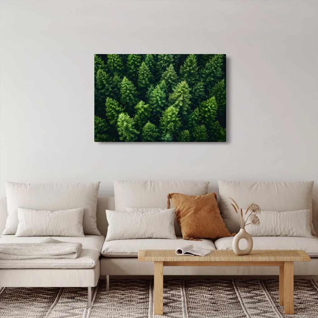 Tablou - Pădure (90x60 cm)